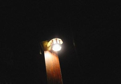 Photo rattan pendant light